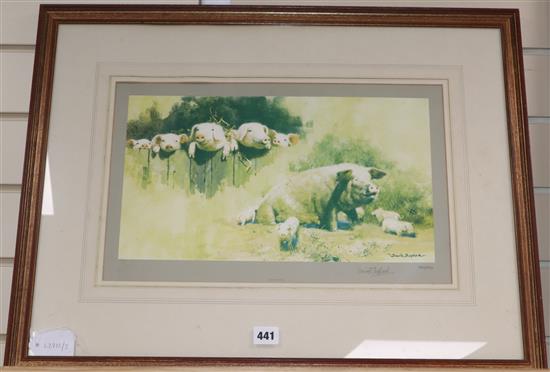 David Shepherd, limited edition print, Porkers, signed, 299/850, 27 x 44cm